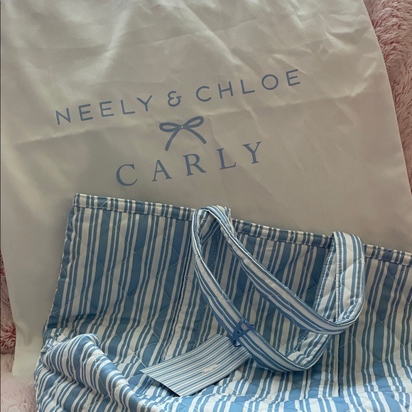 Neely & Chloe Carly Blue Striped Women's Bag - Picture 1 of 7